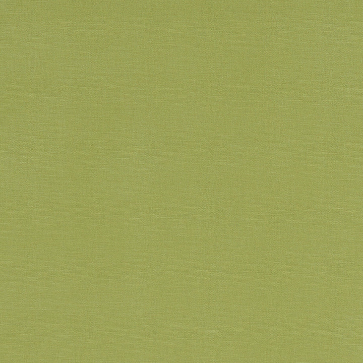 Alora Apple by Clarke And Clarke Fabric CLARKE & CLARKE ALORA COTTON - 100% Spain HEAVY Horizontal: 0 and Vertical: 0 54 - Fabric Carolina -