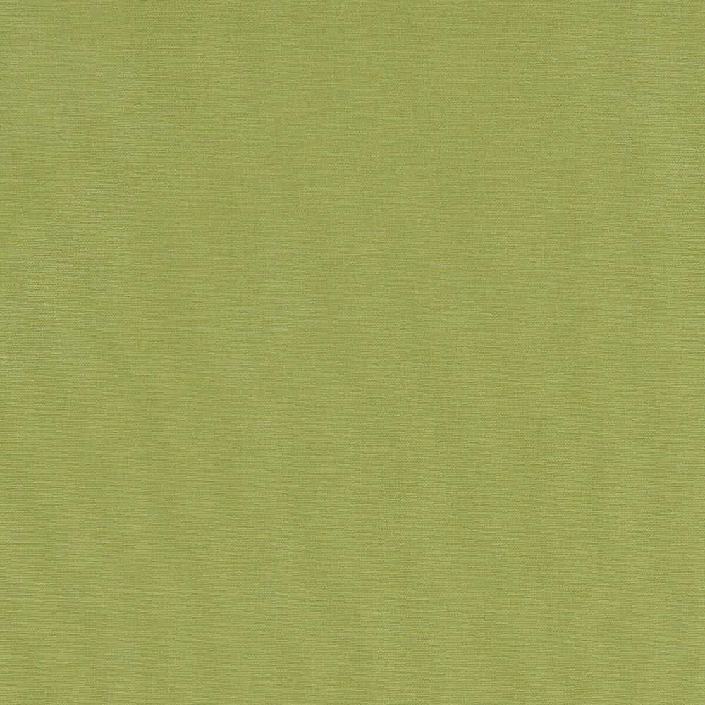 Alora Apple by Clarke And Clarke Designer Fabric CLARKE & CLARKE ALORA COTTON - 100% Spain HEAVY Horizontal: 0 and Vertical: 0 54 - Swanky Fabrics -