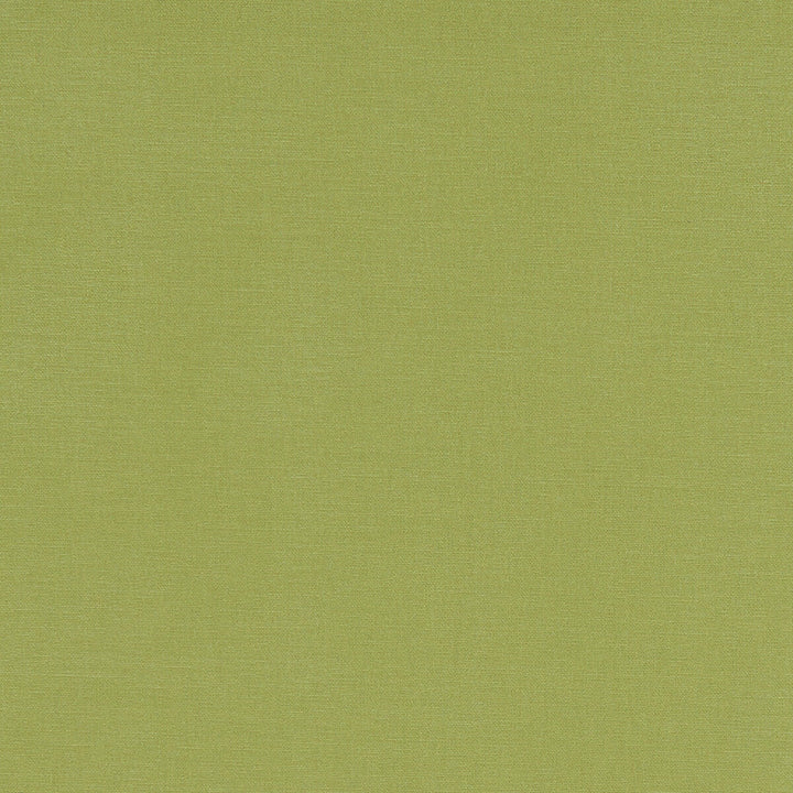 Alora Apple by Clarke And Clarke Designer Fabric CLARKE & CLARKE ALORA COTTON - 100% Spain HEAVY Horizontal: 0 and Vertical: 0 54 - Swanky Fabrics -