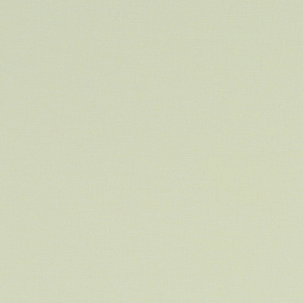 Alora Celadon by Clarke And Clarke Fabric CLARKE & CLARKE ALORA COTTON - 100% Spain HEAVY Horizontal: 0 and Vertical: 0 54 - Fabric Carolina -