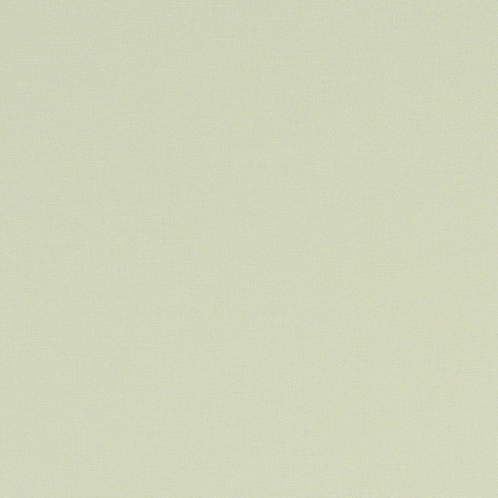 Alora Celadon by Clarke And Clarke Fabric CLARKE & CLARKE ALORA COTTON - 100% Spain HEAVY Horizontal: 0 and Vertical: 0 54 - Fabric Carolina -