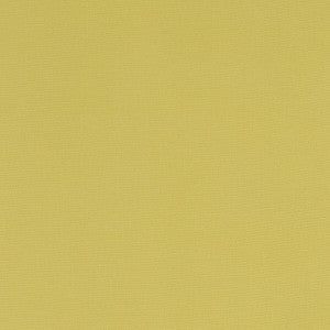 Alora Celery by Clarke And Clarke Fabric
