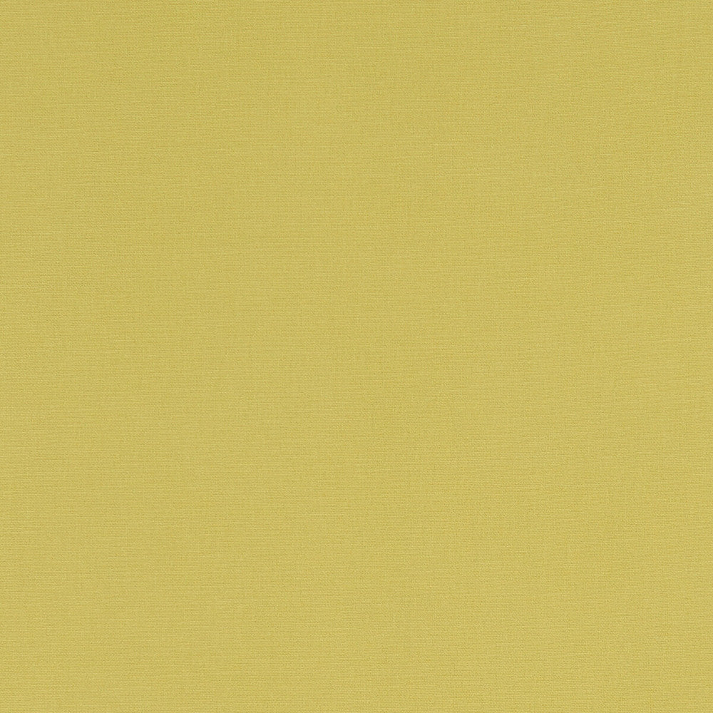 Alora Celery by Clarke And Clarke Fabric Clarke And Clarke Fabric Alora CeleryFabric CLARKE & CLARKE ALORA COTTON - 100% Spain </p><p>Repeat: H: 0, V: 0 54 - Fabric Carolina -