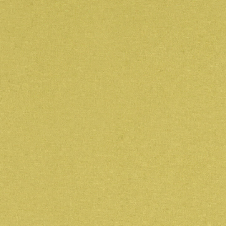 Alora Celery by Clarke And Clarke Fabric CLARKE & CLARKE ALORA COTTON - 100% Spain HEAVY Horizontal: 0 and Vertical: 0 54 - Fabric Carolina -