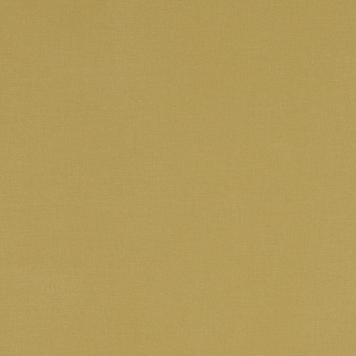 Alora Chartreuse by Clarke And Clarke Fabric Clarke And Clarke Fabric Alora ChartreuseFabric CLARKE & CLARKE ALORA COTTON - 100% Spain </p><p>Repeat: H: 0, V: 0 54 - Fabric Carolina -