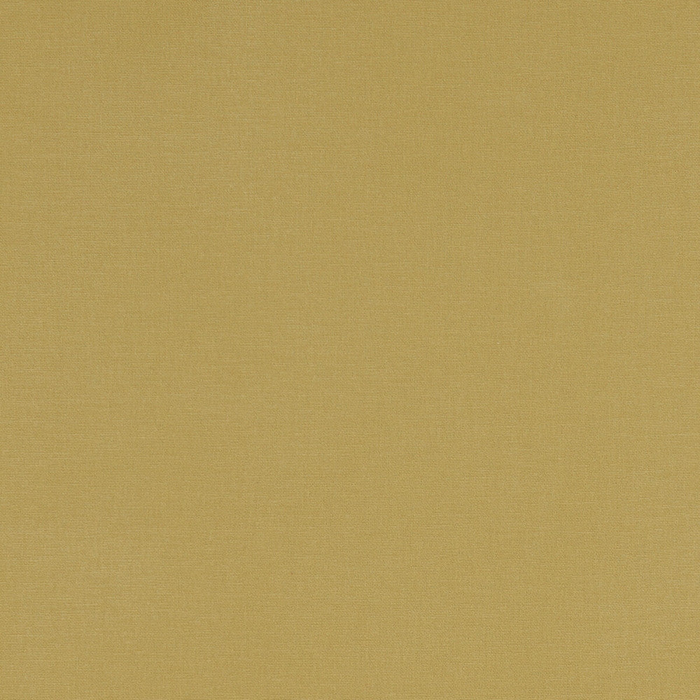 Alora Chartreuse by Clarke And Clarke Fabric CLARKE & CLARKE ALORA COTTON - 100% Spain HEAVY Horizontal: 0 and Vertical: 0 54 - Fabric Carolina -