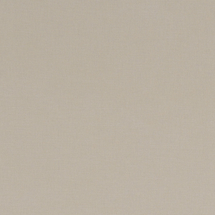 F1097 18 Alora Flax by Clarke and Clarke Fabric STUDIO G COTTON - 100% Spain HEAVY Horizontal: 0 and Vertical: 0 54  - Fabric Carolina -