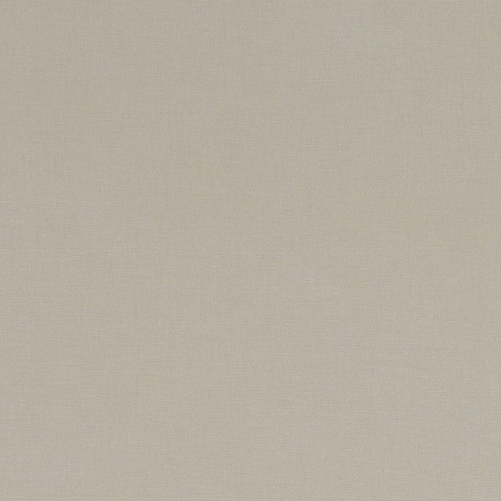 Alora Flax by Clarke And Clarke Fabric CLARKE & CLARKE ALORA COTTON - 100% Spain HEAVY Horizontal: 0 and Vertical: 0 54 - Fabric Carolina -