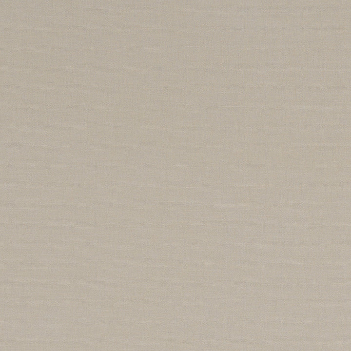 F1097 18 Alora Flax by Clarke and Clarke Designer Fabric STUDIO G COTTON - 100% Spain HEAVY Horizontal: 0 and Vertical: 0 54 - Swanky Fabrics -