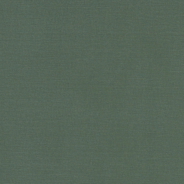 Alora Forest by Clarke And Clarke Fabric CLARKE & CLARKE ALORA COTTON - 100% Spain HEAVY Horizontal: 0 and Vertical: 0 54 - Fabric Carolina -
