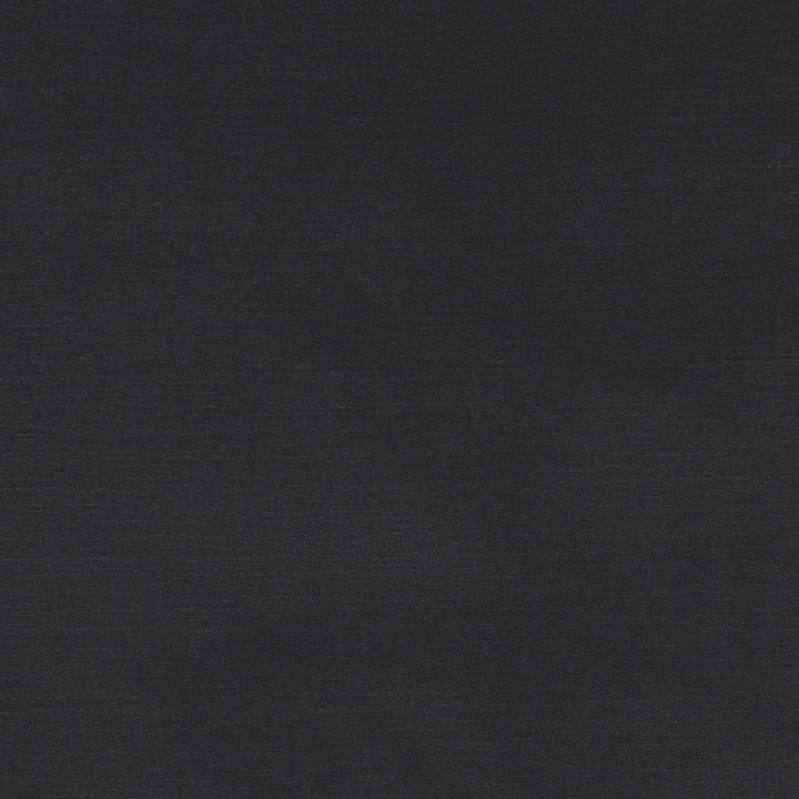 F1097 22 Alora Graphite by Clarke and Clarke Fabric STUDIO G COTTON - 100% Spain HEAVY Horizontal: 0 and Vertical: 0 54  - Fabric Carolina -