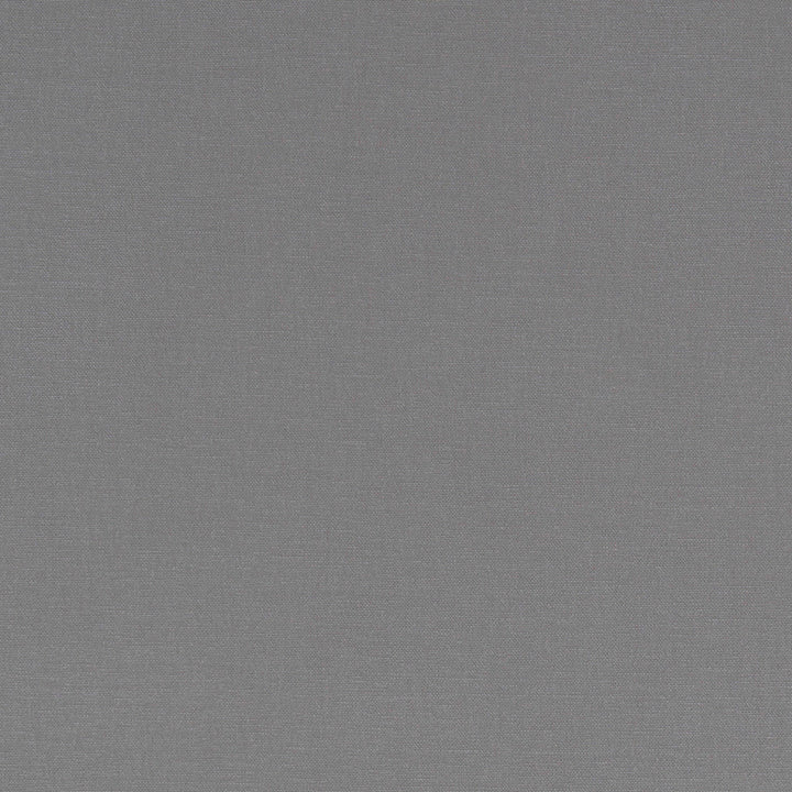 F1097 23 Alora Grey by Clarke and Clarke Fabric STUDIO G COTTON - 100% Spain HEAVY Horizontal: 0 and Vertical: 0 54  - Fabric Carolina -
