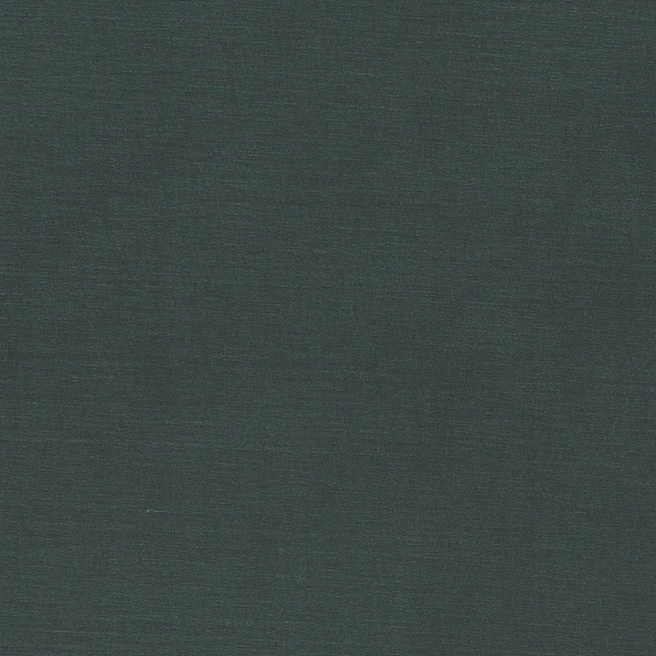 F1097 24 Alora Gunmetal by Clarke and Clarke Fabric STUDIO G COTTON - 100% Spain HEAVY Horizontal: 0 and Vertical: 0 54  - Fabric Carolina -