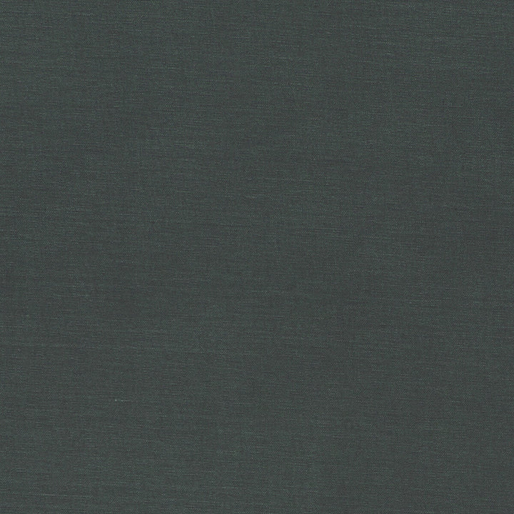 Alora Gunmetal by Clarke And Clarke Fabric CLARKE & CLARKE ALORA COTTON - 100% Spain HEAVY Horizontal: 0 and Vertical: 0 54 - Fabric Carolina -
