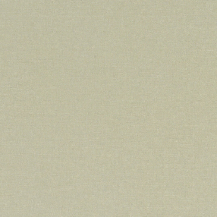 Alora Hemp by Clarke And Clarke Fabric CLARKE & CLARKE ALORA COTTON - 100% Spain HEAVY Horizontal: 0 and Vertical: 0 54 - Fabric Carolina -