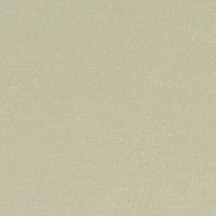 F1097 26 Alora Hemp by Clarke and Clarke Fabric STUDIO G COTTON - 100% Spain HEAVY Horizontal: 0 and Vertical: 0 54  - Fabric Carolina -