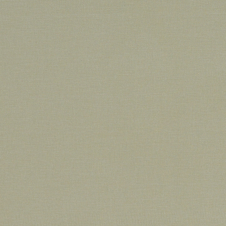Alora Khaki by Clarke And Clarke Fabric CLARKE & CLARKE ALORA COTTON - 100% Spain HEAVY Horizontal: 0 and Vertical: 0 54 - Fabric Carolina -
