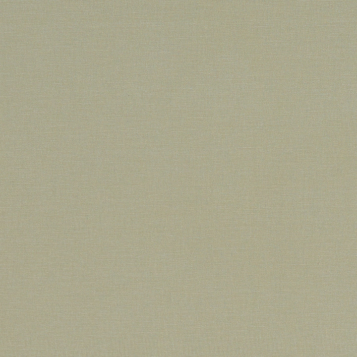 F1097 30 Alora Khaki by Clarke and Clarke Fabric STUDIO G COTTON - 100% Spain HEAVY Horizontal: 0 and Vertical: 0 54  - Fabric Carolina -
