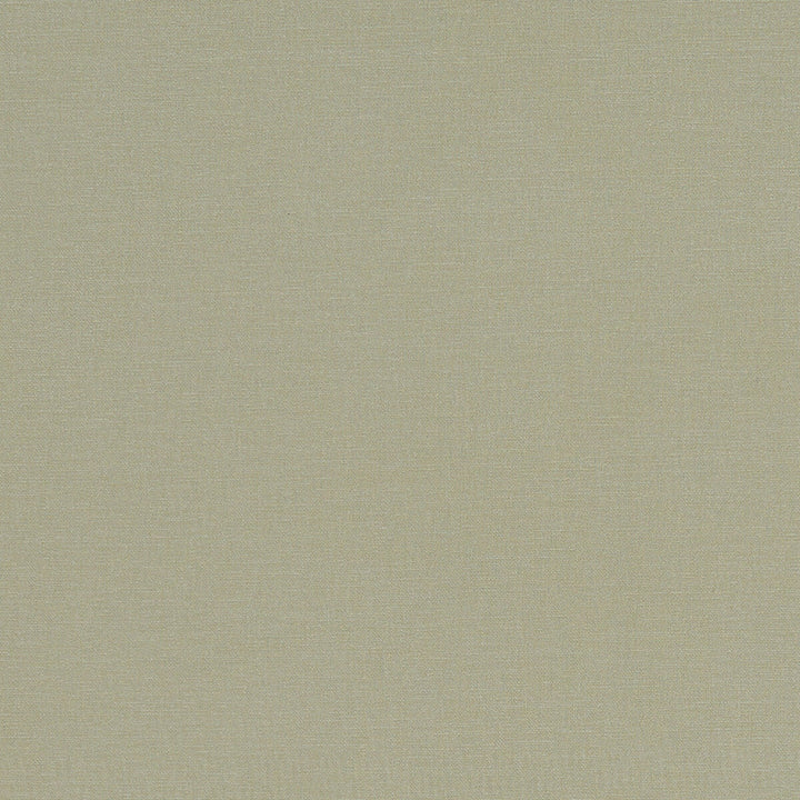 Alora Khaki by Clarke And Clarke Designer Fabric CLARKE & CLARKE ALORA COTTON - 100% Spain HEAVY Horizontal: 0 and Vertical: 0 54 - Swanky Fabrics -