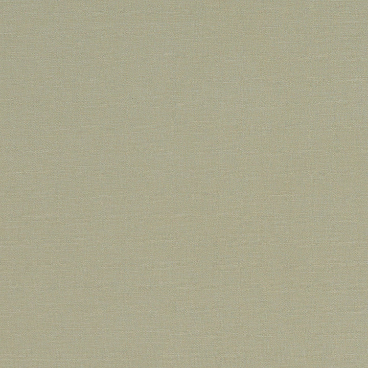 F1097 30 Alora Khaki by Clarke and Clarke Designer Fabric STUDIO G COTTON - 100% Spain HEAVY Horizontal: 0 and Vertical: 0 54 - Swanky Fabrics -