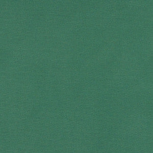 Alora Leaf by Clarke And Clarke Fabric