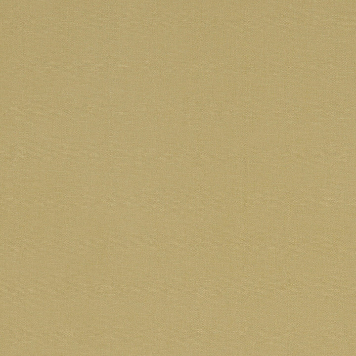 Alora Malt by Clarke And Clarke Designer Fabric CLARKE & CLARKE ALORA COTTON - 100% Spain HEAVY Horizontal: 0 and Vertical: 0 54 - Swanky Fabrics -