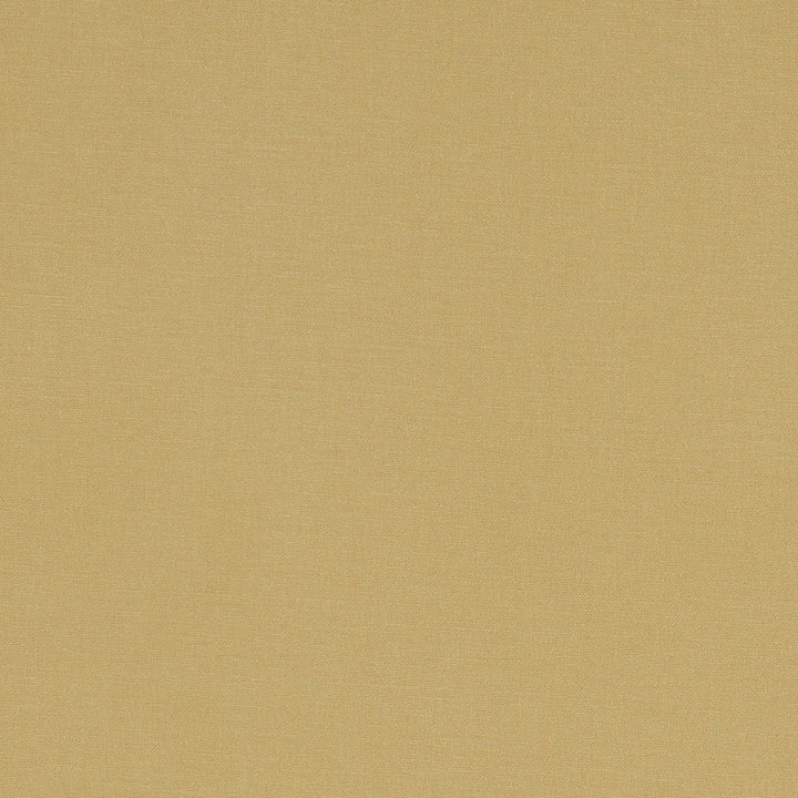 F1097 35 Alora Malt by Clarke and Clarke Designer Fabric STUDIO G COTTON - 100% Spain HEAVY Horizontal: 0 and Vertical: 0 54 - Swanky Fabrics -