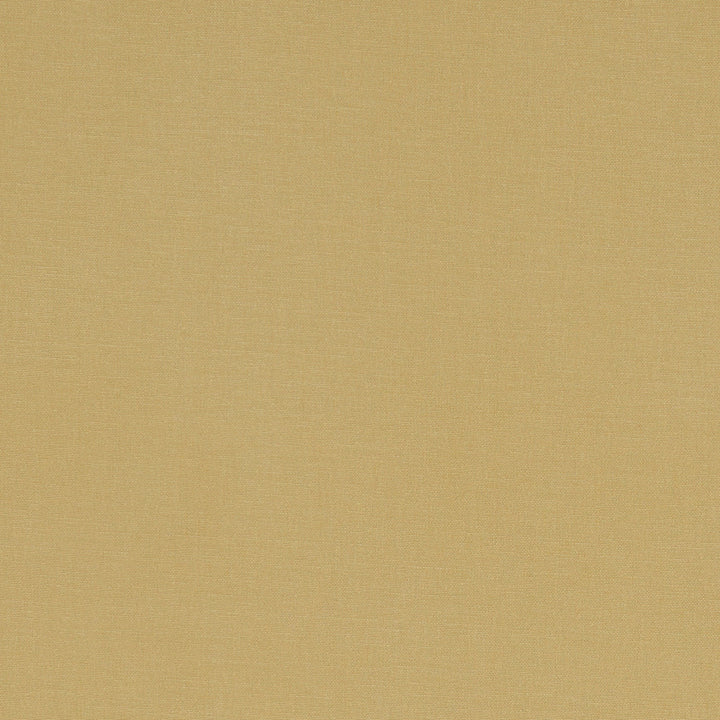 F1097 35 Alora Malt by Clarke and Clarke Fabric STUDIO G COTTON - 100% Spain HEAVY Horizontal: 0 and Vertical: 0 54  - Fabric Carolina -