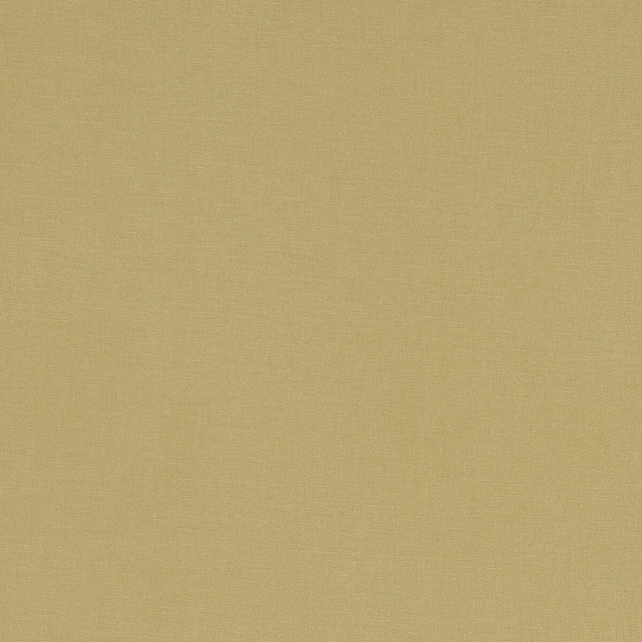 Alora Malt by Clarke And Clarke Fabric CLARKE & CLARKE ALORA COTTON - 100% Spain HEAVY Horizontal: 0 and Vertical: 0 54 - Fabric Carolina -