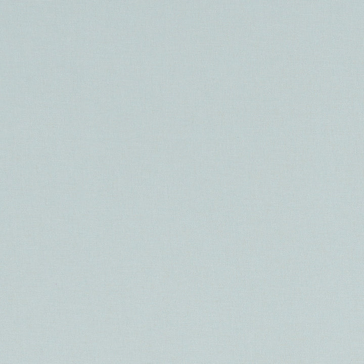 F1097 37 Alora Mineral by Clarke and Clarke Fabric STUDIO G COTTON - 100% Spain HEAVY Horizontal: 0 and Vertical: 0 54  - Fabric Carolina -