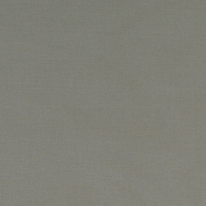 F1097 38 Alora Mink by Clarke and Clarke Fabric STUDIO G COTTON - 100% Spain HEAVY Horizontal: 0 and Vertical: 0 54  - Fabric Carolina -