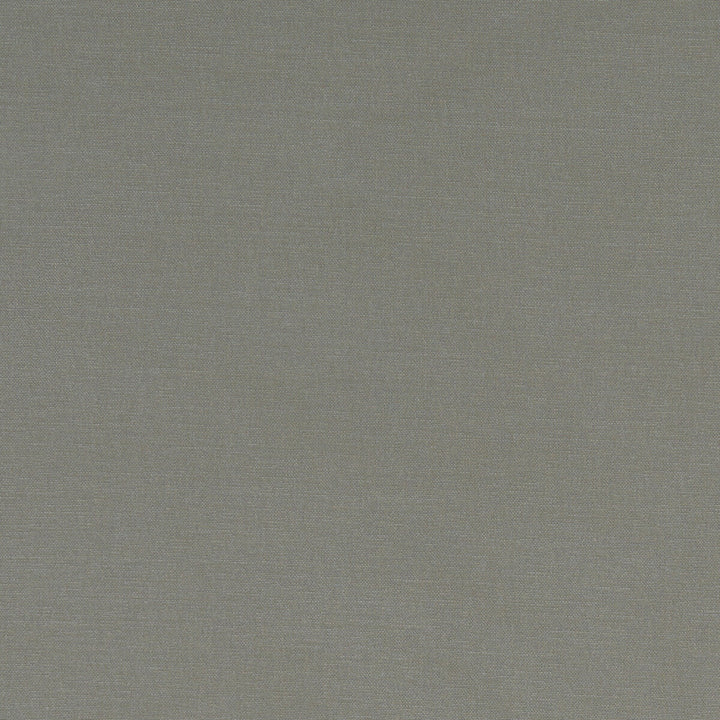 Alora Mink by Clarke And Clarke Fabric CLARKE & CLARKE ALORA COTTON - 100% Spain HEAVY Horizontal: 0 and Vertical: 0 54 - Fabric Carolina -