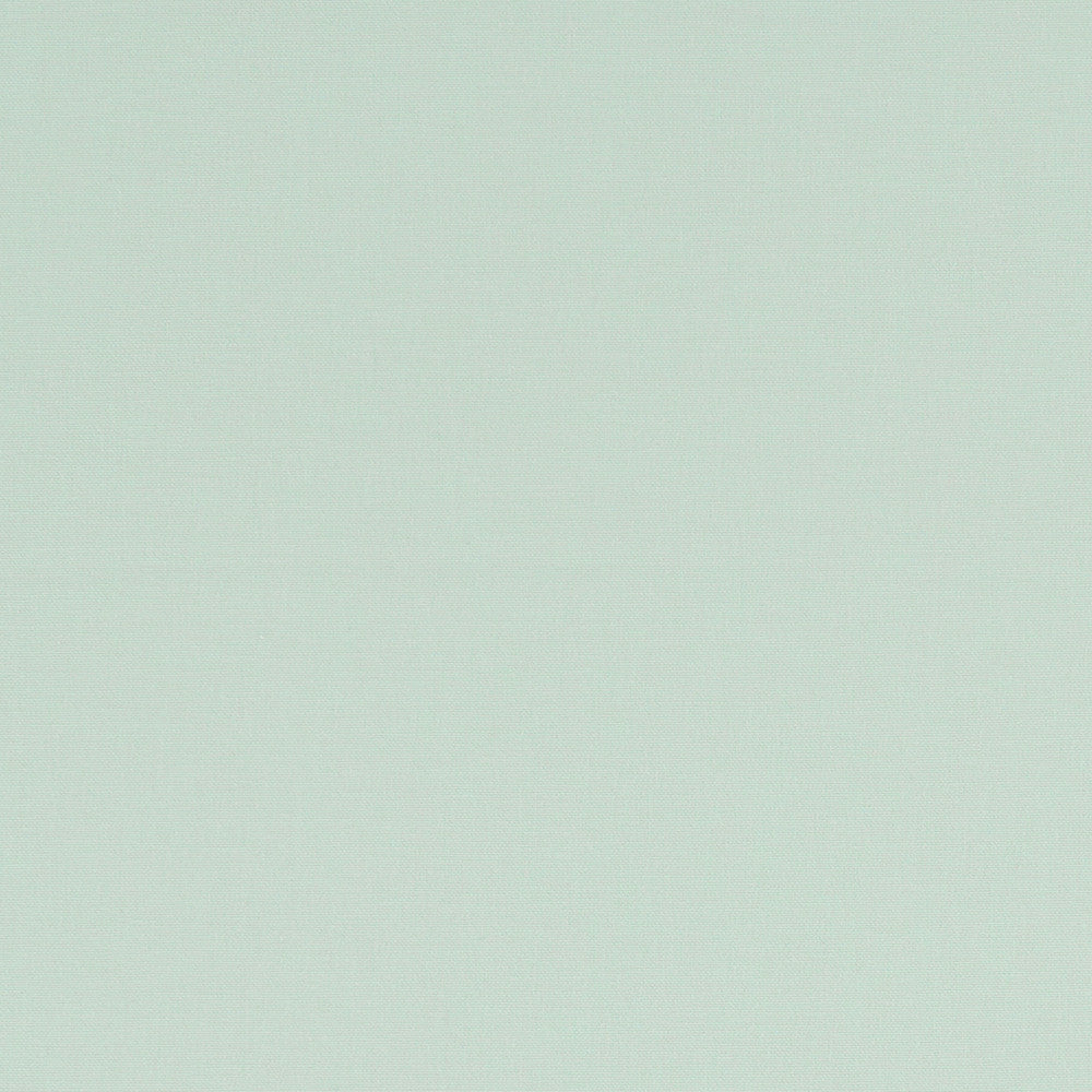 F1097 39 Alora Mint by Clarke and Clarke Fabric STUDIO G COTTON - 100% Spain HEAVY Horizontal: 0 and Vertical: 0 54  - Fabric Carolina -