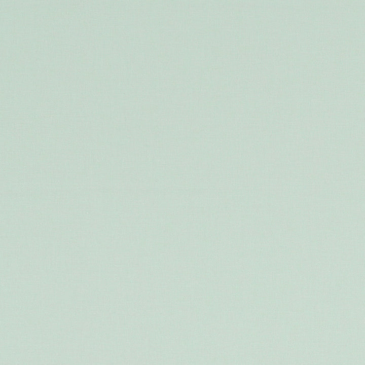 F1097 39 Alora Mint by Clarke and Clarke Fabric STUDIO G COTTON - 100% Spain HEAVY Horizontal: 0 and Vertical: 0 54  - Fabric Carolina -