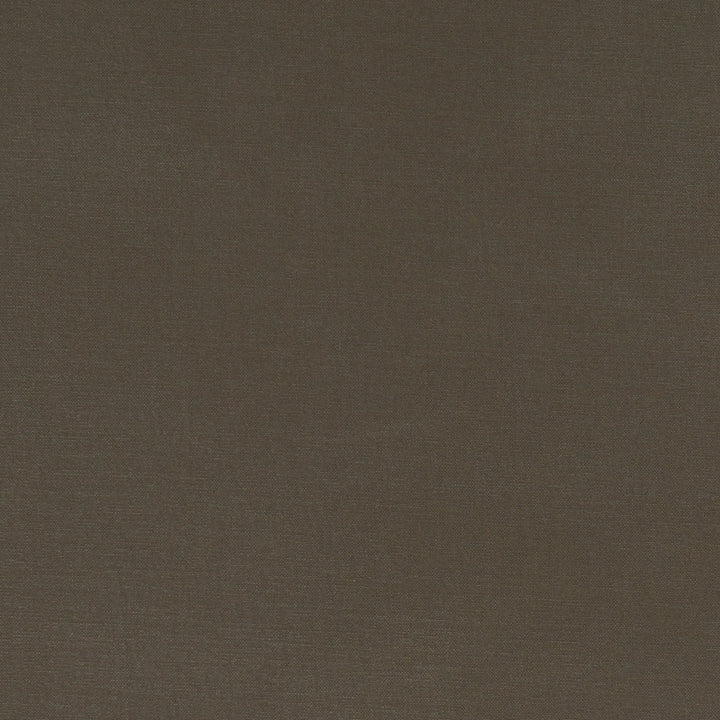 F1097 40 Alora Mocha by Clarke and Clarke Fabric STUDIO G COTTON - 100% Spain HEAVY Horizontal: 0 and Vertical: 0 54  - Fabric Carolina -