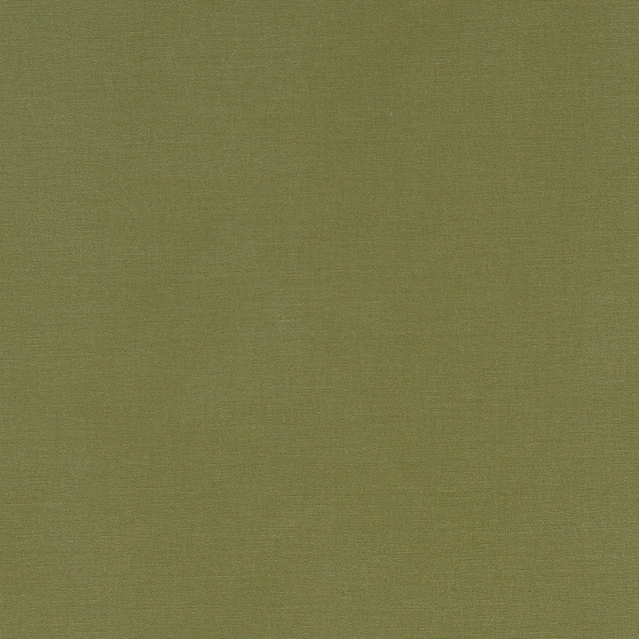 F1097 41 Alora Moss by Clarke and Clarke Fabric STUDIO G COTTON - 100% Spain HEAVY Horizontal: 0 and Vertical: 0 54  - Fabric Carolina -
