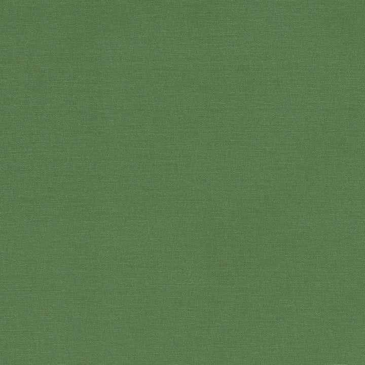 F1097 43 Alora Palm by Clarke and Clarke Fabric STUDIO G COTTON - 100% Spain HEAVY Horizontal: 0 and Vertical: 0 54  - Fabric Carolina -