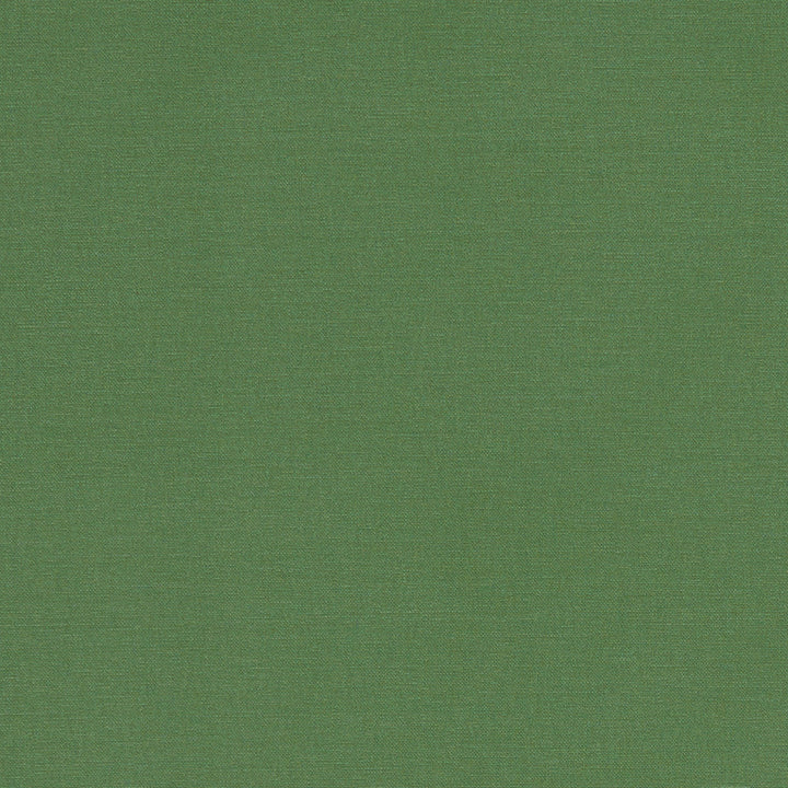 F1097 43 Alora Palm by Clarke and Clarke Designer Fabric STUDIO G COTTON - 100% Spain HEAVY Horizontal: 0 and Vertical: 0 54 - Swanky Fabrics -