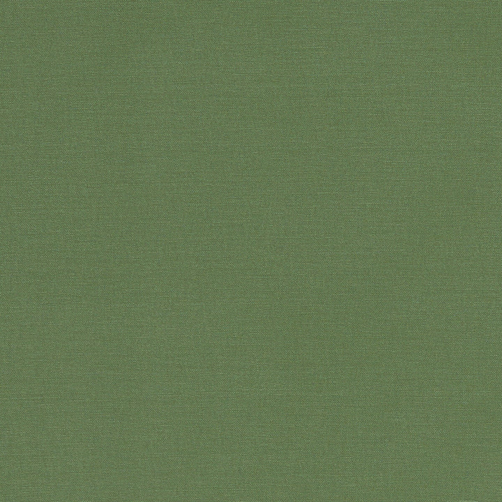 Alora Palm by Clarke And Clarke Designer Fabric CLARKE & CLARKE ALORA COTTON - 100% Spain HEAVY Horizontal: 0 and Vertical: 0 54 - Swanky Fabrics -