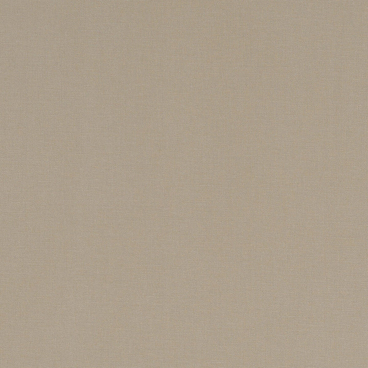 Alora Sand by Clarke And Clarke Designer Fabric CLARKE & CLARKE ALORA COTTON - 100% Spain HEAVY Horizontal: 0 and Vertical: 0 54 - Swanky Fabrics -