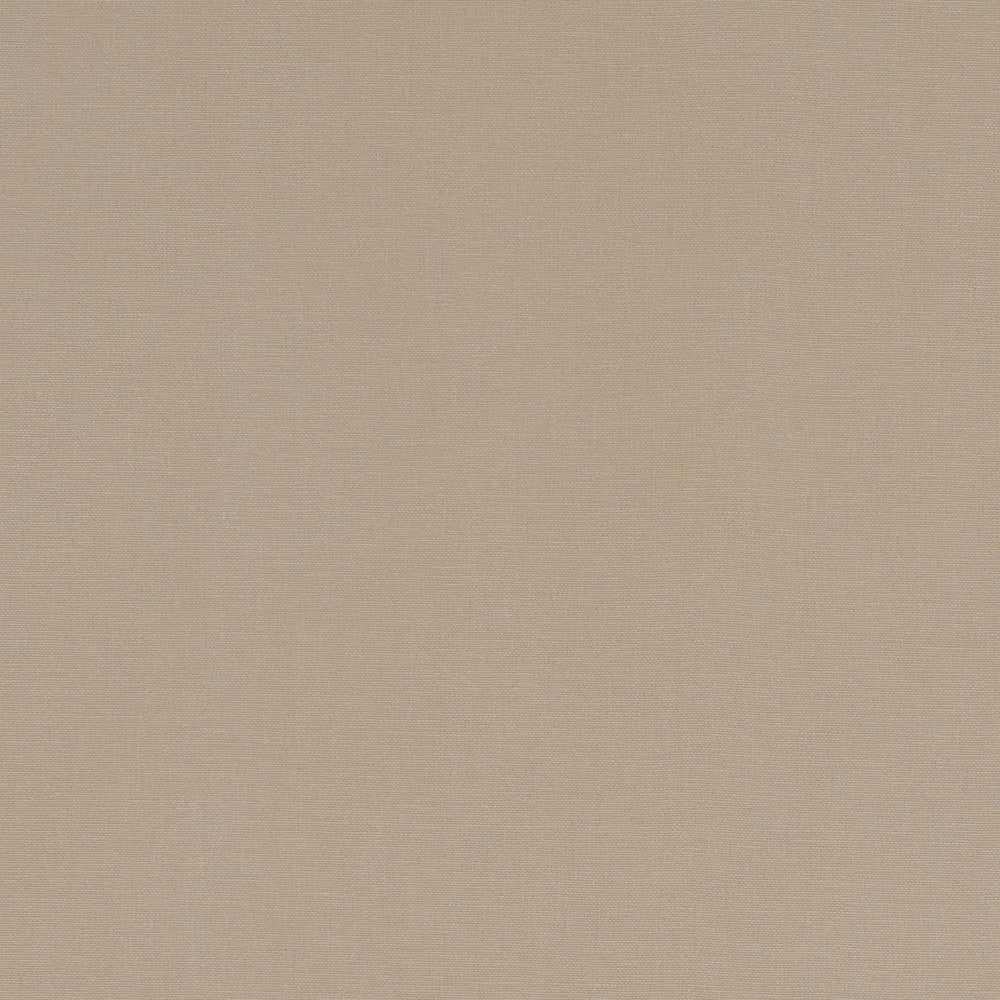 F1097 55 Alora Sand by Clarke and Clarke Fabric STUDIO G COTTON - 100% Spain HEAVY Horizontal: 0 and Vertical: 0 54  - Fabric Carolina -