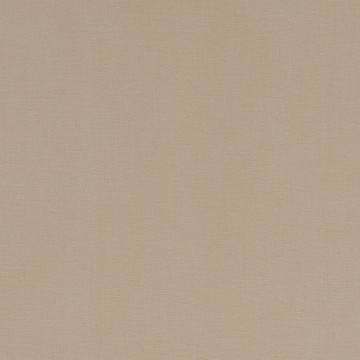 F1097 55 Alora Sand by Clarke and Clarke Fabric STUDIO G COTTON - 100% Spain HEAVY Horizontal: 0 and Vertical: 0 54  - Fabric Carolina -