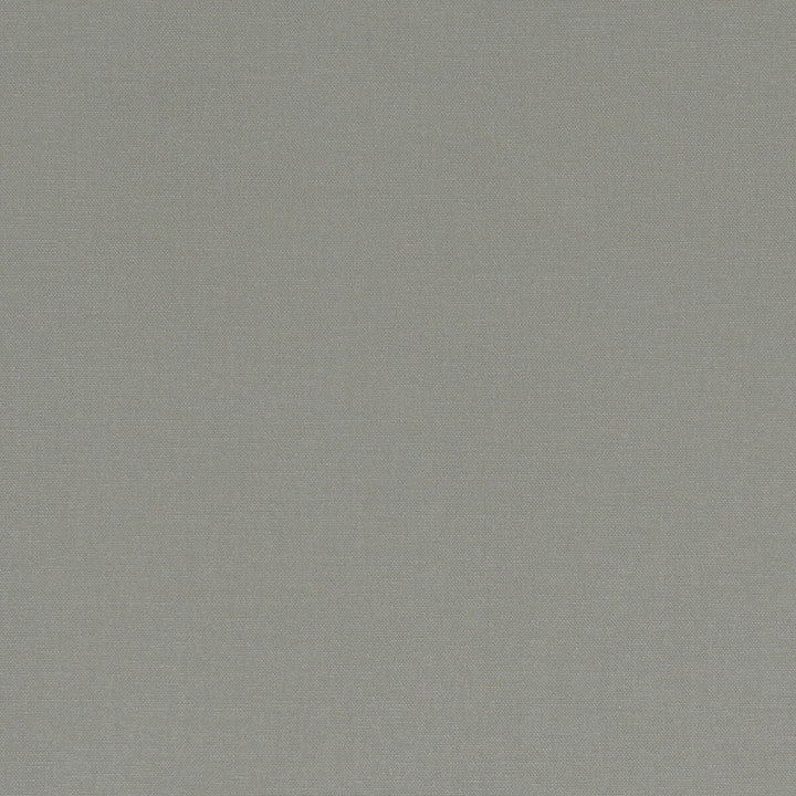 Alora Smoke by Clarke And Clarke Fabric CLARKE & CLARKE ALORA COTTON - 100% Spain HEAVY Horizontal: 0 and Vertical: 0 54 - Fabric Carolina -