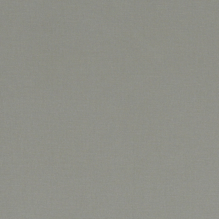 Alora Smoke by Clarke And Clarke Designer Fabric CLARKE & CLARKE ALORA COTTON - 100% Spain HEAVY Horizontal: 0 and Vertical: 0 54 - Swanky Fabrics -
