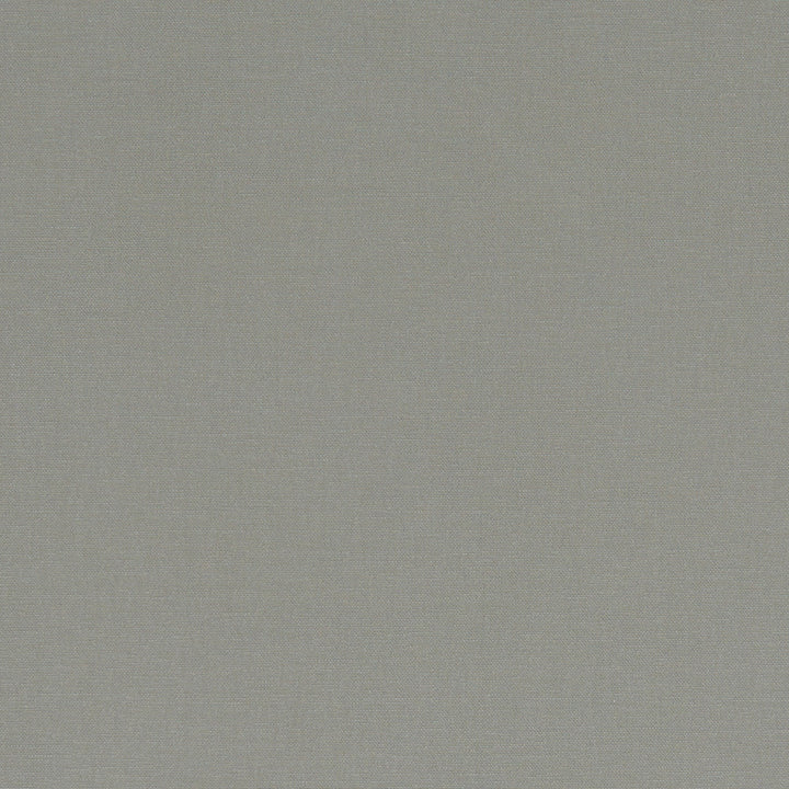F1097 58 Alora Smoke by Clarke and Clarke Fabric STUDIO G COTTON - 100% Spain HEAVY Horizontal: 0 and Vertical: 0 54  - Fabric Carolina -