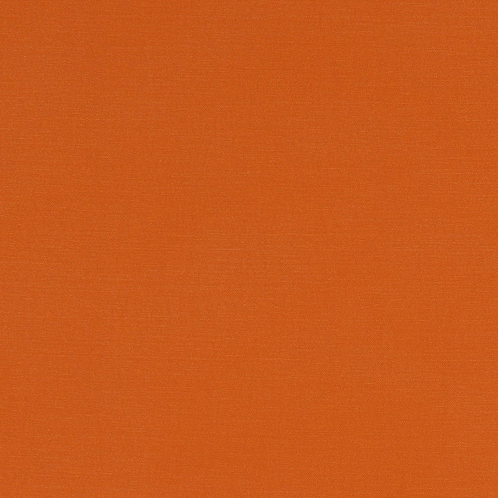 F1097 60 Alora Spice by Clarke and Clarke Fabric STUDIO G COTTON - 100% Spain HEAVY Horizontal: 0 and Vertical: 0 54  - Fabric Carolina -