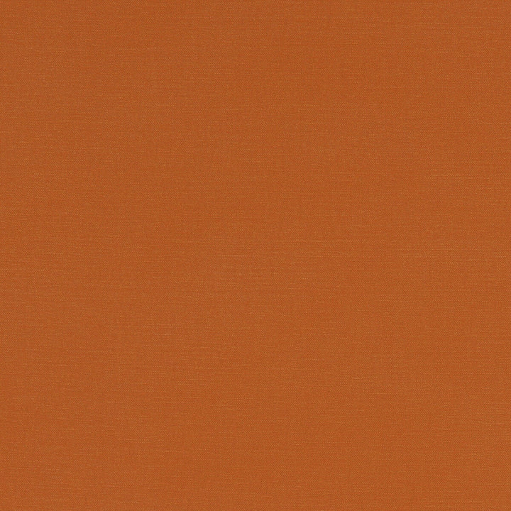 Alora Spice by Clarke And Clarke Designer Fabric CLARKE & CLARKE ALORA COTTON - 100% Spain HEAVY Horizontal: 0 and Vertical: 0 54 - Swanky Fabrics -