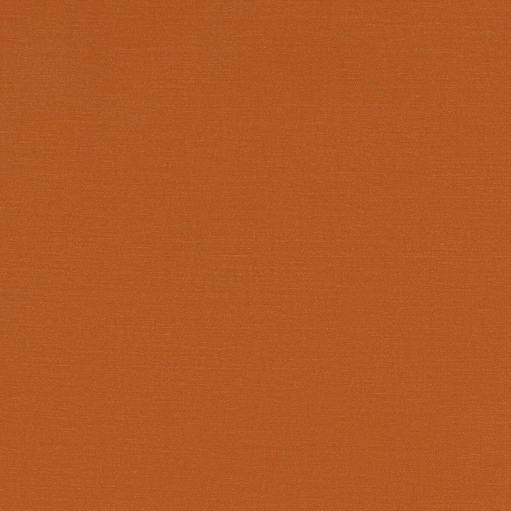 Alora Spice by Clarke And Clarke Fabric CLARKE & CLARKE ALORA COTTON - 100% Spain HEAVY Horizontal: 0 and Vertical: 0 54 - Fabric Carolina -