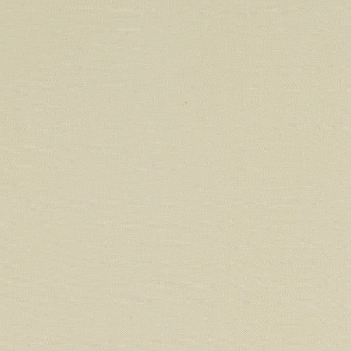 F1097 62 Alora Stone by Clarke and Clarke Fabric STUDIO G COTTON - 100% Spain HEAVY Horizontal: 0 and Vertical: 0 54  - Fabric Carolina -