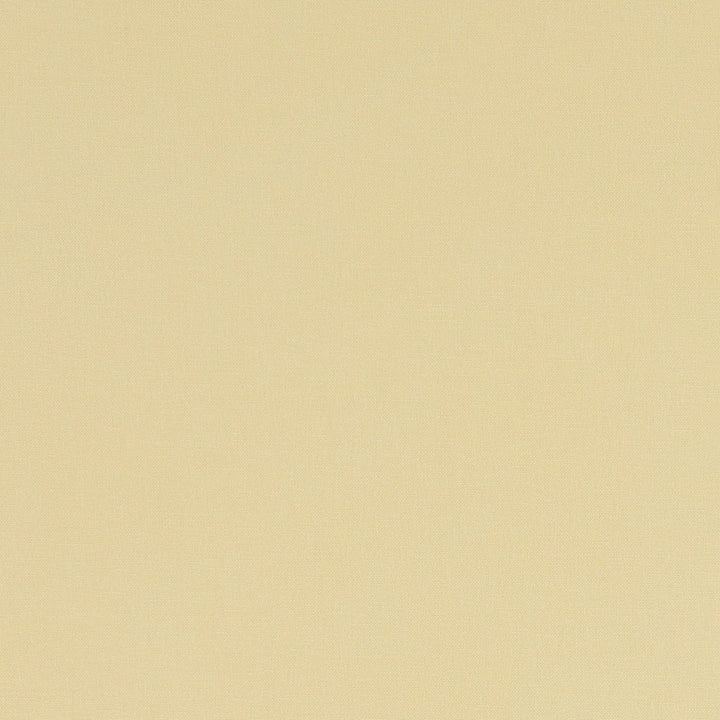 F1097 63 Alora Straw by Clarke and Clarke Fabric STUDIO G COTTON - 100% Spain HEAVY Horizontal: 0 and Vertical: 0 54  - Fabric Carolina -